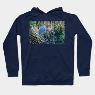 Shaggy Headed Reddish Egret Hoodie